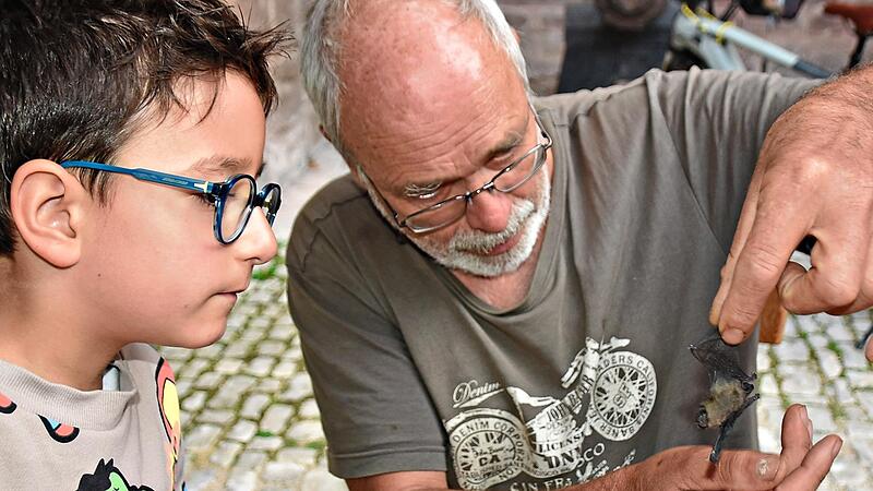 Mika ist ganz gebannt: Winfried Bloche zeigt ihm eine tote Fledermaus. Uschi Prawitz Mika ist ganz gebannt: Winfried Bloche zeigt ihm eine tote Fledermaus. Uschi Prawitz