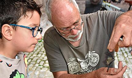 Mika ist ganz gebannt: Winfried Bloche zeigt ihm eine tote Fledermaus. Uschi Prawitz