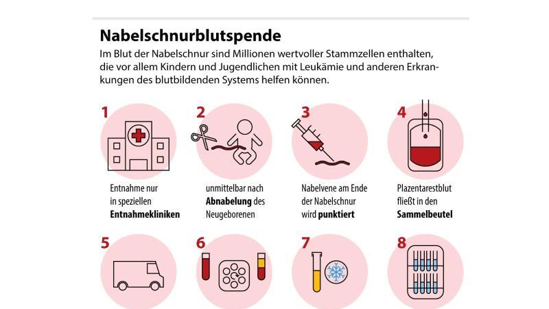 Spende von Nabelschnurblut