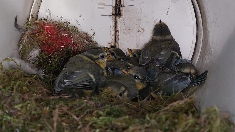 Forchheim & Fr&auml;nkische Schweiz