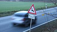 Gefahr durch Wildtiere