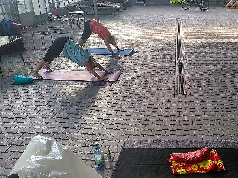 Im Juni und Juli gab es Hot Yoga im Treibhaus. Im Juni und Juli gab es Hot Yoga im Treibhaus.