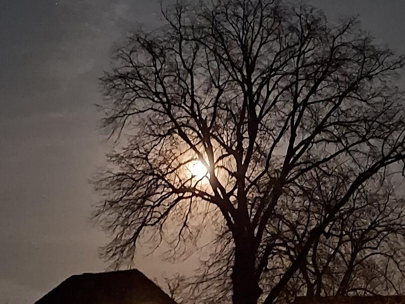 Leserbilder: Wenn der Himmel &uuml;ber Kronach bunt wirdLeserbilder: Wenn der Himmel &uuml;ber Kronach bunt wird