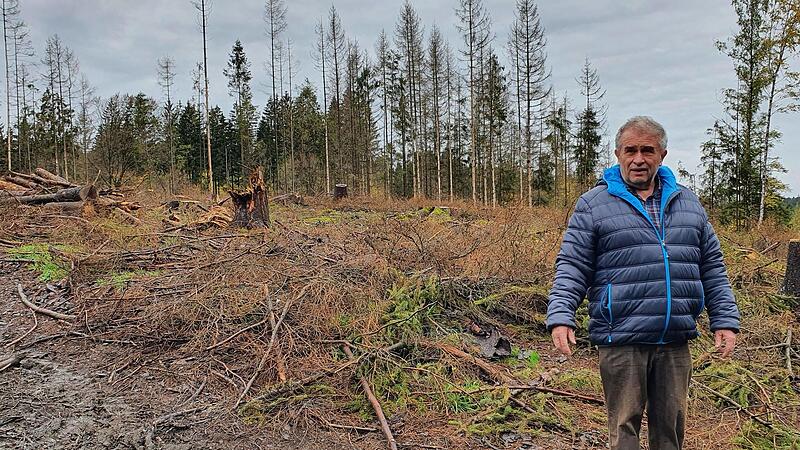 Kahl ist es geworden im Wald von Siegfried Beyer aus Kunreuth.
