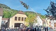 Mit vereinten Kr&auml;ften stellten die Floriansj&uuml;nger in Machtilshausen den Maibaum am Dorfplatz auf.