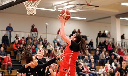 Da BasketsBbg gg Dillingen 140226 01 Tweedie