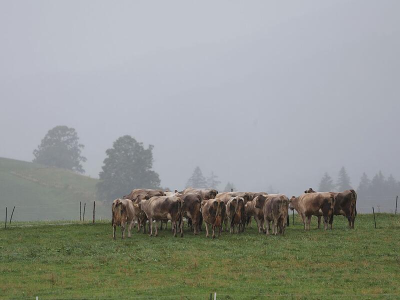 Wetter in Bayern