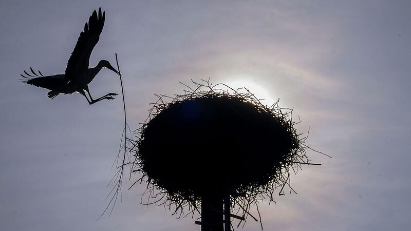 Wetter in Bayern Wetter in Bayern