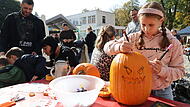 Herbstmarkt in MönchshofHerbstmarkt in Mönchshof Herbstmarkt in Mönchshof