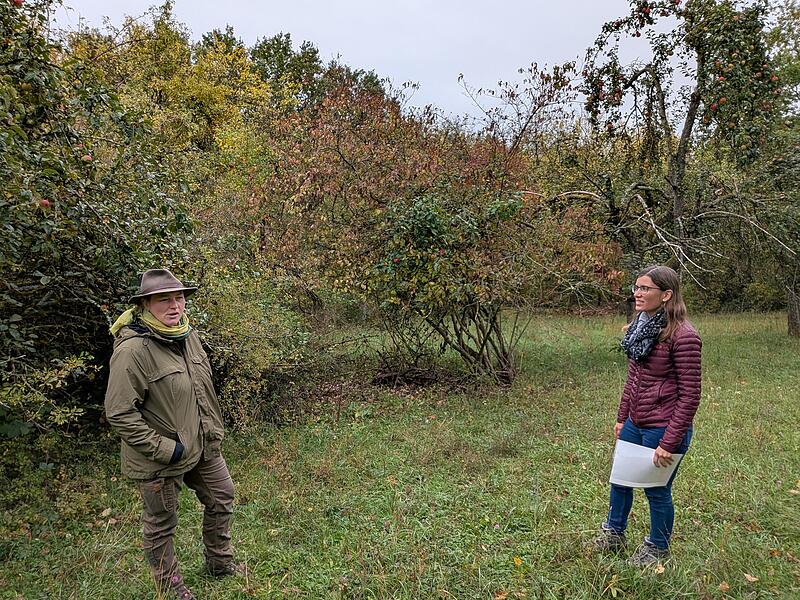 Bayern kürzt Gelder: Landschaftspflegeamt schlägt Alarm