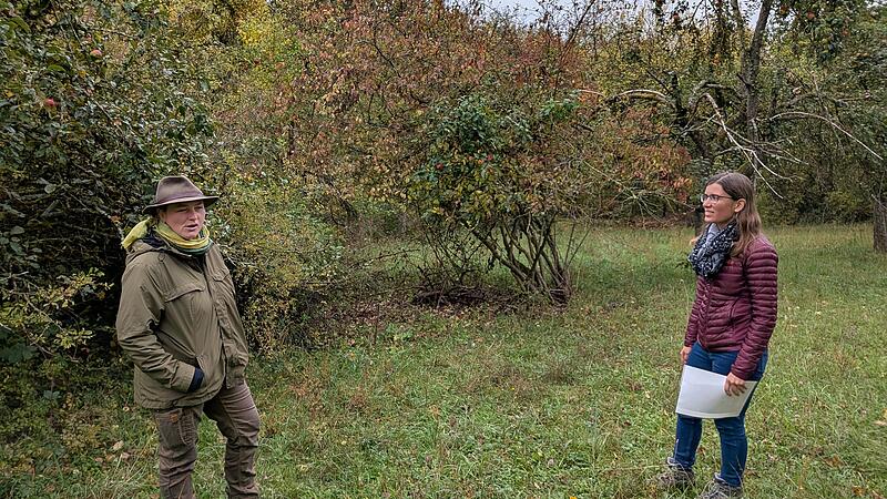 Bayern kürzt Gelder: Landschaftspflegeamt schlägt Alarm