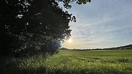 Führt hier eines Tages die Umgehungsstraße für Breitenbach und Mitgenfeld entlang? Der Oberleichtersbacher Gemeinderat machte sich vor Ort Gedanken über eine mögliche Trassenführung.