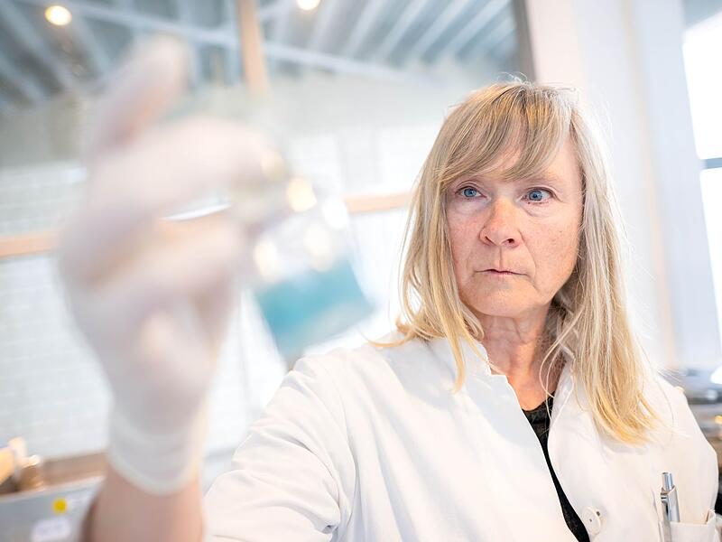 Labor: Manche Kleidung bei Shein mit Chemikalien belastet