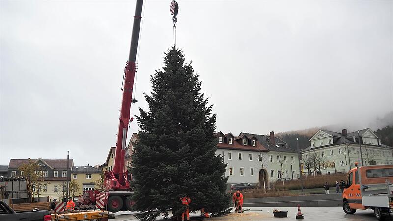 Bevor die Nordmanntanne endgültig auf dem in den Marktplatz integrierten Ständer befestigt wird, muss sie noch ausgerichtet und begradigt werden.