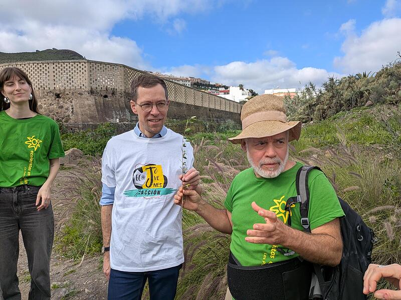 Aufforstung Gran Canaria Bamberger Symphoniker