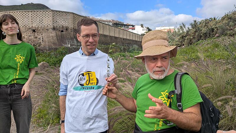 Aufforstung Gran Canaria Bamberger Symphoniker