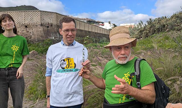 Aufforstung Gran Canaria Bamberger Symphoniker Aufforstung Gran Canaria Bamberger Symphoniker