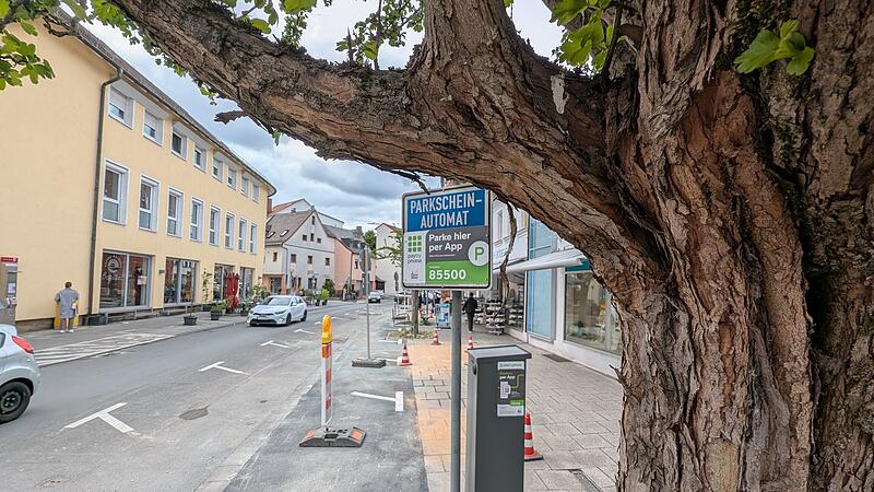 Viele B&auml;ume gibt es nicht mehr in der Hornschuchallee. Die FGL-Fraktion fordert nun, umgehend nachzupflanzen, der Oberb&uuml;rgermeister kontert mit einem eigenen Vorschlag.