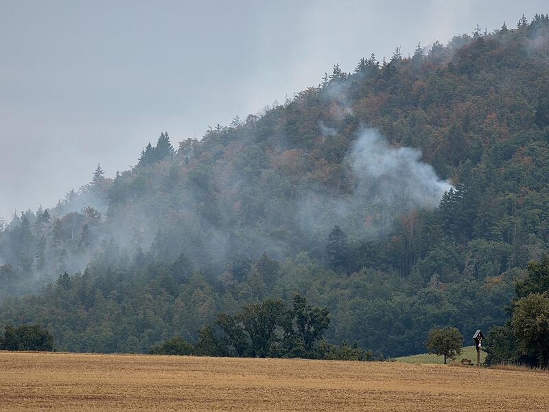 Waldbrand in der Oberpfalz