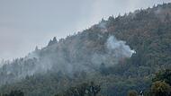 Waldbrand in der Oberpfalz