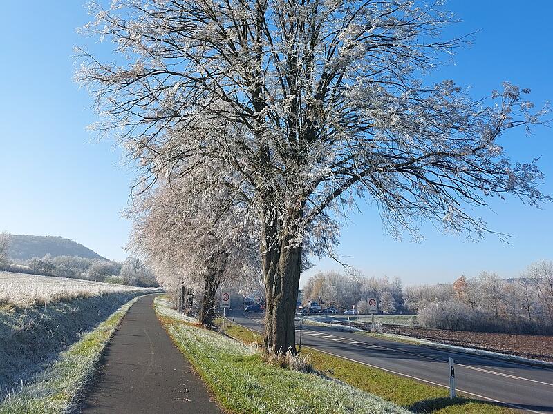 Blauer Himmel und Rauhreif auf dem Rad- und Fu&szlig;weg bei Machtilshausen: Diese tolle Farbenpracht hat Katja Schmelz bei minus zehn Grad festgehalten.