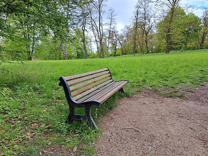 Der Hofgarten hat viele B&auml;nke. Doch f&uuml;r diese lohnt sich der Weg in Richtung Veste allemal. Von dieser, etwas versteckten Bank, hat man einen fantastischen Blick auf das Wahrzeichen.
