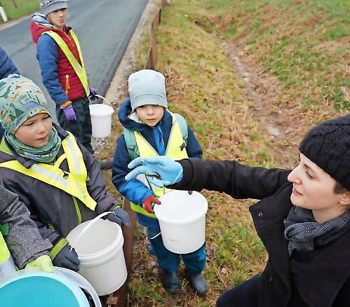 Unter Anleitung von stellvertretender BN-Kreisvorsitzenden Claudia Drenda (rechts) und Begleitung der Betreuerinnen des Obst- und Gartenbauvereins wurden die Fangeimer des Zauns gründlich überprüft. Unter Anleitung von stellvertretender BN-Kreisvorsitzenden Claudia Drenda (rechts) und Begleitung der Betreuerinnen des Obst- und Gartenbauvereins wurden die Fangeimer des Zauns gründlich überprüft.