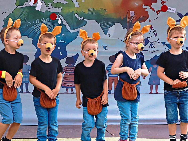 Kängurus aus Australien. Kängurus aus Australien.