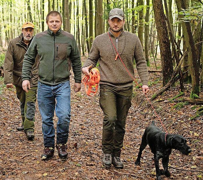 Der Hund arbeitet die Schweißfährte am sogenannten Schweißriemen. Die Prüfer begleiten die Suche.