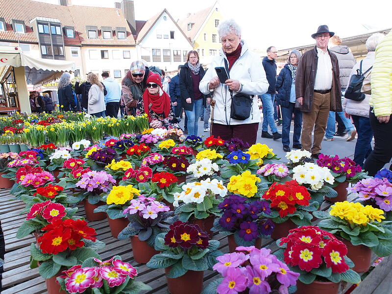 Verkaufsoffener Sonntag KUSo sch&ouml;n war der verkaufsoffene Sonntag in Kulmbach
