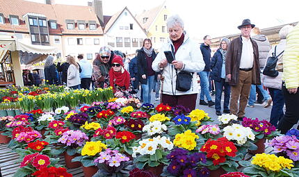 Verkaufsoffener Sonntag KUSo sch&ouml;n war der verkaufsoffene Sonntag in Kulmbach