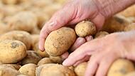 Kartoffeln