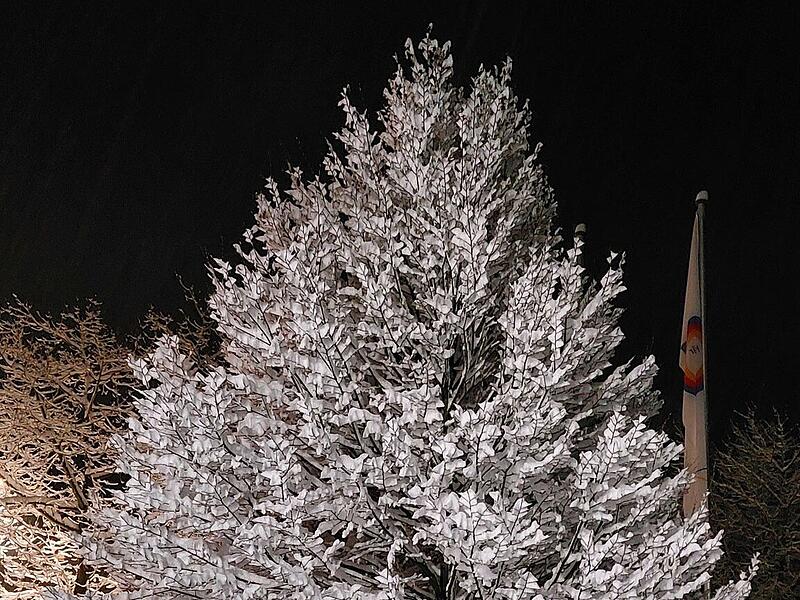 Schnee in Kulmbach: Die sch&ouml;nsten Leserfotos