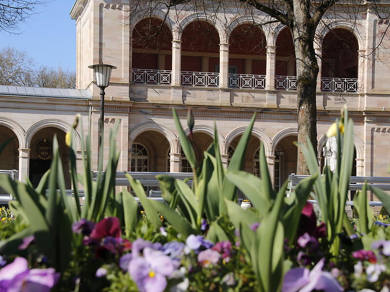 Buntes Beet vor dem KursaalFrühlingsblumen in Bad Kissingen Buntes Beet vor dem Kursaal