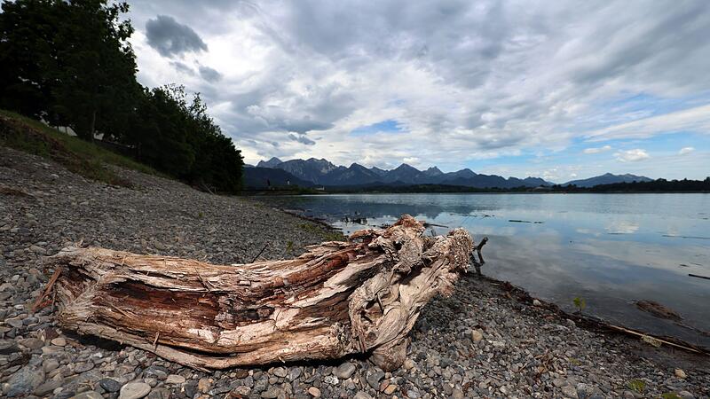 Wasserstand am Forggensee Wasserstand am Forggensee