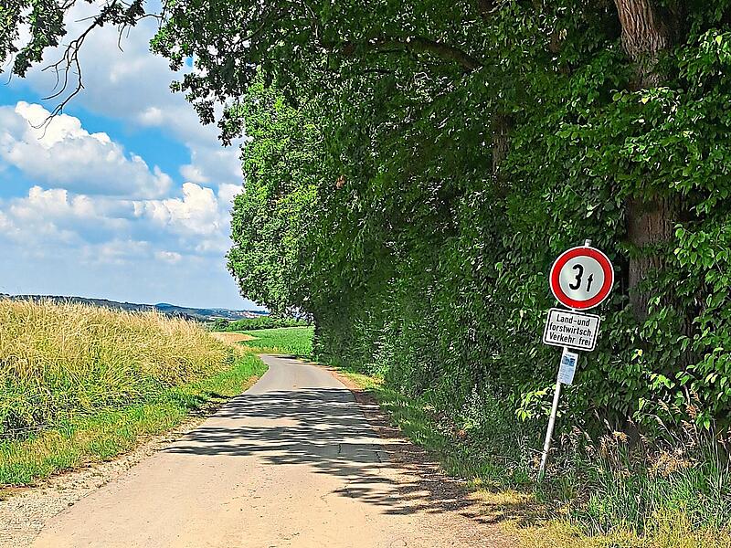 Die Straße zwischen Mittelehrenbach und Dobenreuth ist in einem schlechten Zustand. Thomas Weichert Die Straße zwischen Mittelehrenbach und Dobenreuth ist in einem schlechten Zustand. Thomas Weichert
