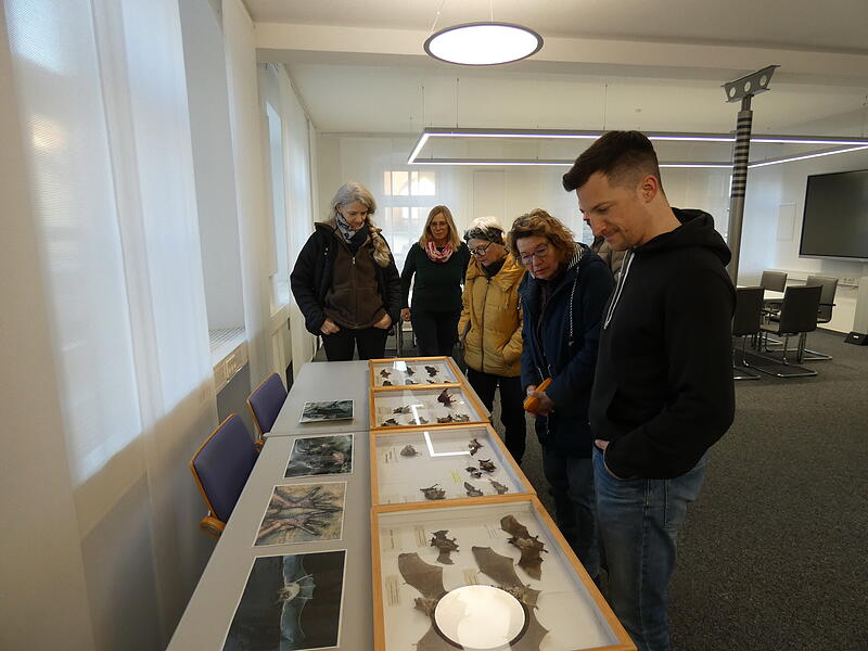 Kronach Kirchen Säuberungsaktion Ranger Fledermäuse Christine Neubauer (zweite von links) von der BN-Kreisgruppe Kronach berichtete über die Fledermausprojekte im Landkreis Kronach.