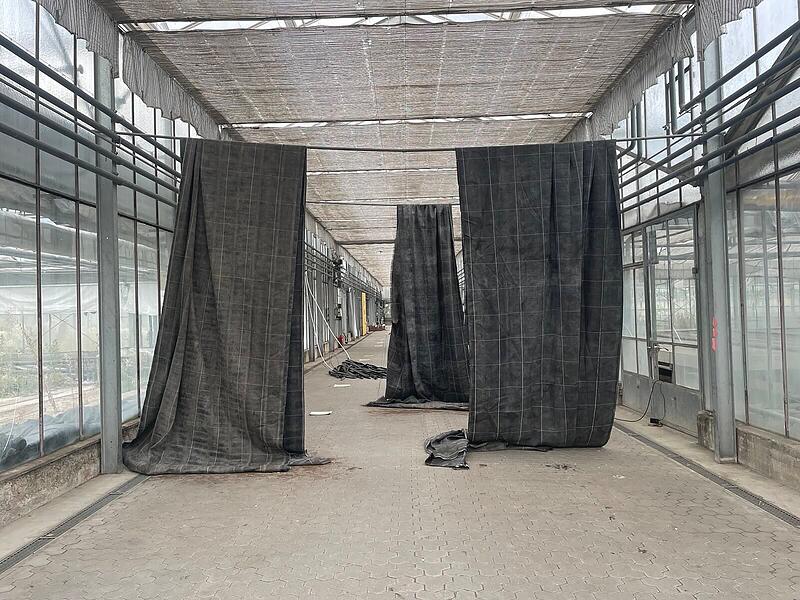 Aus dem Material im Treibhaus entstand Kunst.Führung und Offenes Atelier Aus dem Material im Treibhaus entstand Kunst.