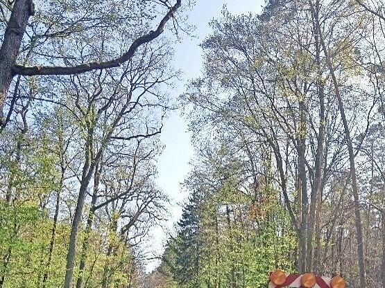 Immer wieder kommt es zu Absperrungen am Serlbacher Berg.