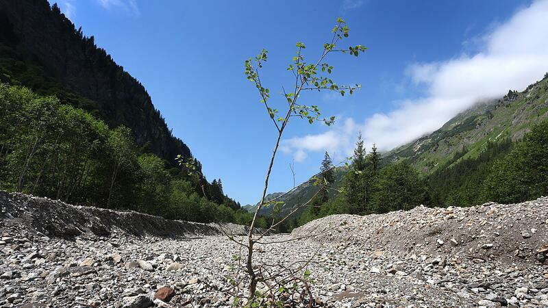 Rappenalptal im Allg&auml;u
