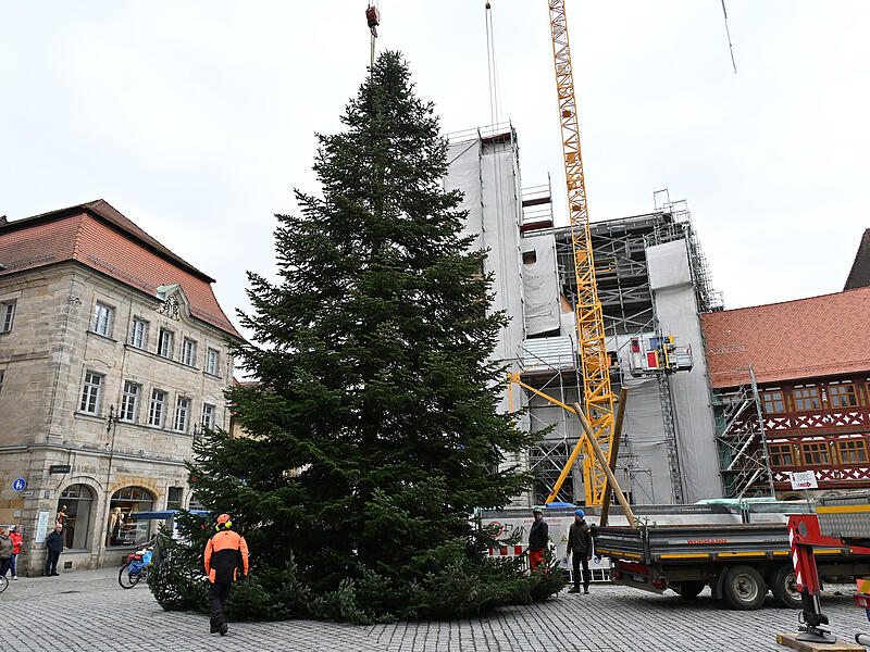 Der Forchheimer Weihnachtsbaum 2025