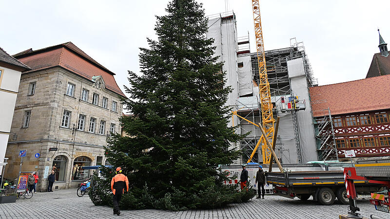 Der Forchheimer Weihnachtsbaum 2025Aufbau Weihnachtsbaum 2025 Der Forchheimer Weihnachtsbaum 2025