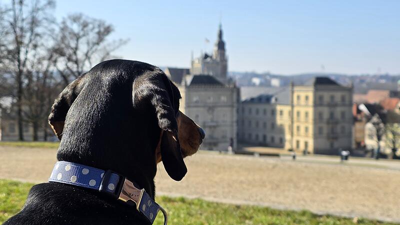 Greta genie&szlig;t die Aussicht vom Hofgarten auf das Schloss.