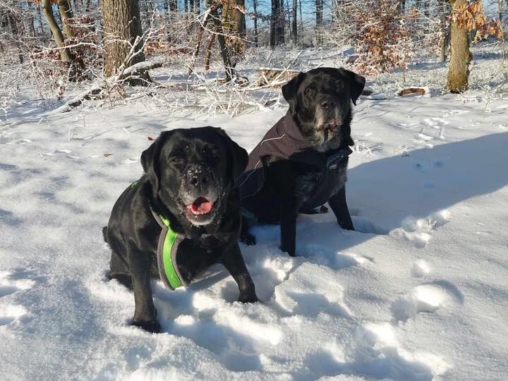 Leserfotos: So sch&ouml;n ist der Frankenwald im SchneeLeserfotos Schnee Januar 2026
