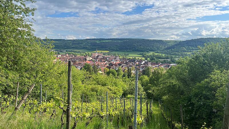 Auch bei Touristen ist das Wandern in den Hammelburger Weinbergern beliebt.