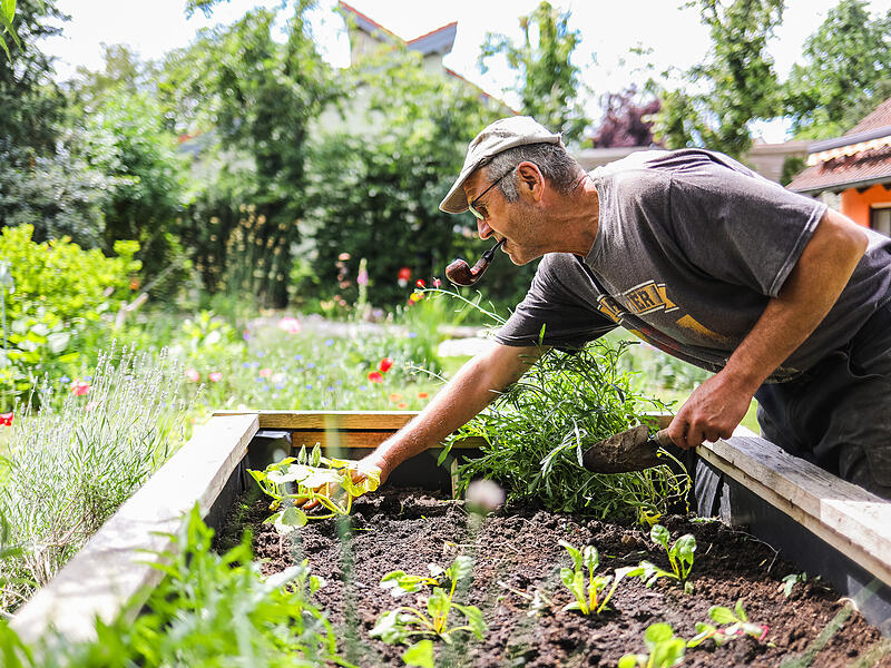 Garten Nummer vier ist großzügig in der Fläche und sooo gemütlich: Klaus Will (Foto) und seine Frau Christine Wolfschmitt-Will haben ihr eigenes Gartenidyll geschaffen.Tag der offenen Gartentür 2026 Garten Nummer vier ist großzügig in der Fläche und sooo gemütlich: Klaus Will (Foto) und seine Frau Christine Wolfschmitt-Will haben ihr eigenes Gartenidyll geschaffen.