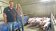 Ohne Aufregung verfolgen die jungen Schweine den Eintritt von Bernhard und Beate Müller in ihren Stall. Ohne Aufregung verfolgen die jungen Schweine den Eintritt von Bernhard und Beate Müller in ihren Stall.