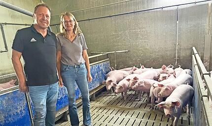 Ohne Aufregung verfolgen die jungen Schweine den Eintritt von Bernhard und Beate M&uuml;ller in ihren Stall.