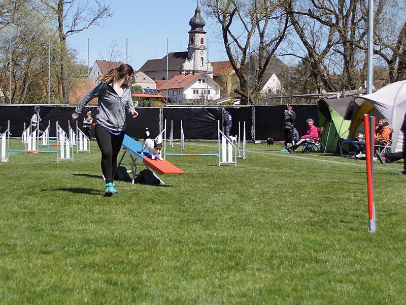 Die Wippe ist besonders tricky: erst wenn die Wippe den Boden berührt, darf er wieder Gas geben.