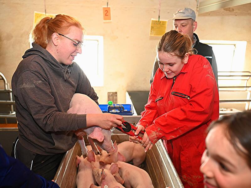 Impressionen vom Girls' Day 2025 auf dem Schweinehof Wei&szlig; im Kreis Bamberg